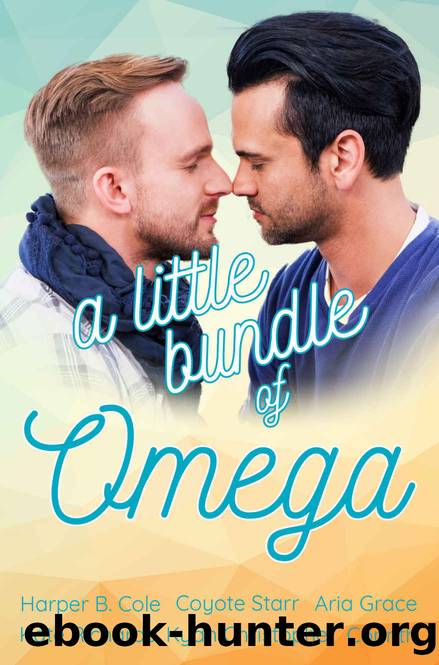 A Little Bundle Of Omega: An MPREG Boxset By Harper B. Cole & Kate ...